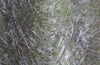 Denver fibreglass roof work